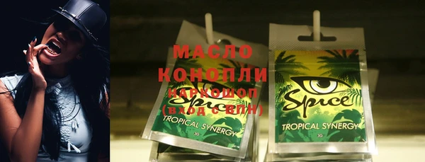 гидра Богородск