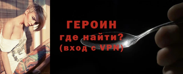 гидра Богородск