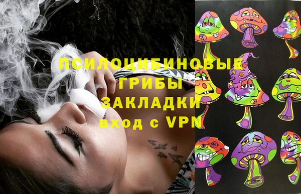 дживик Белоозёрский