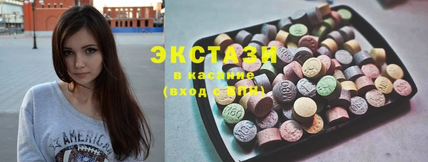 гидра Богородск