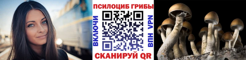 дарнет шоп  Биробиджан  Галлюциногенные грибы ЛСД 